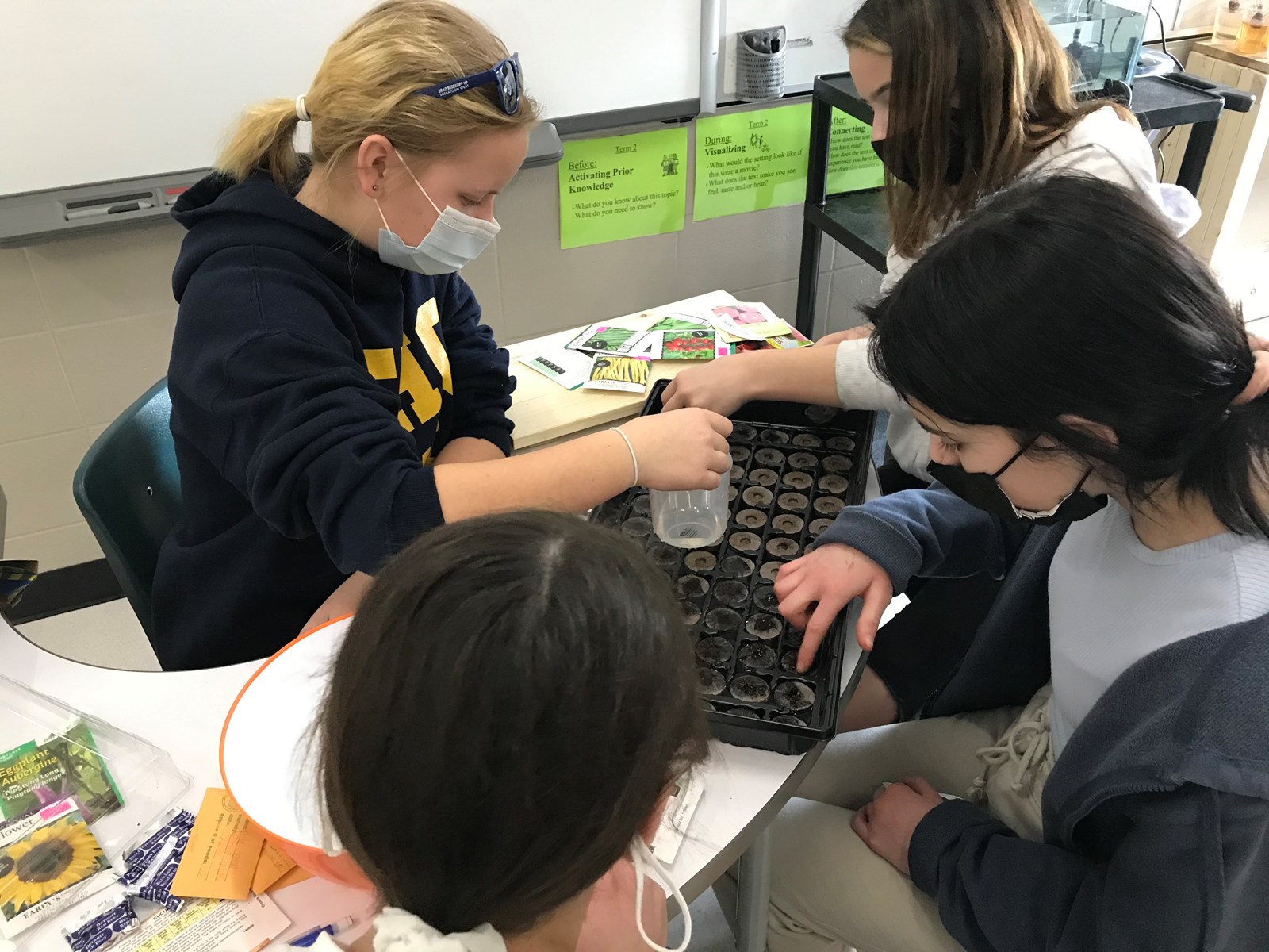 students planting seeds in soil
