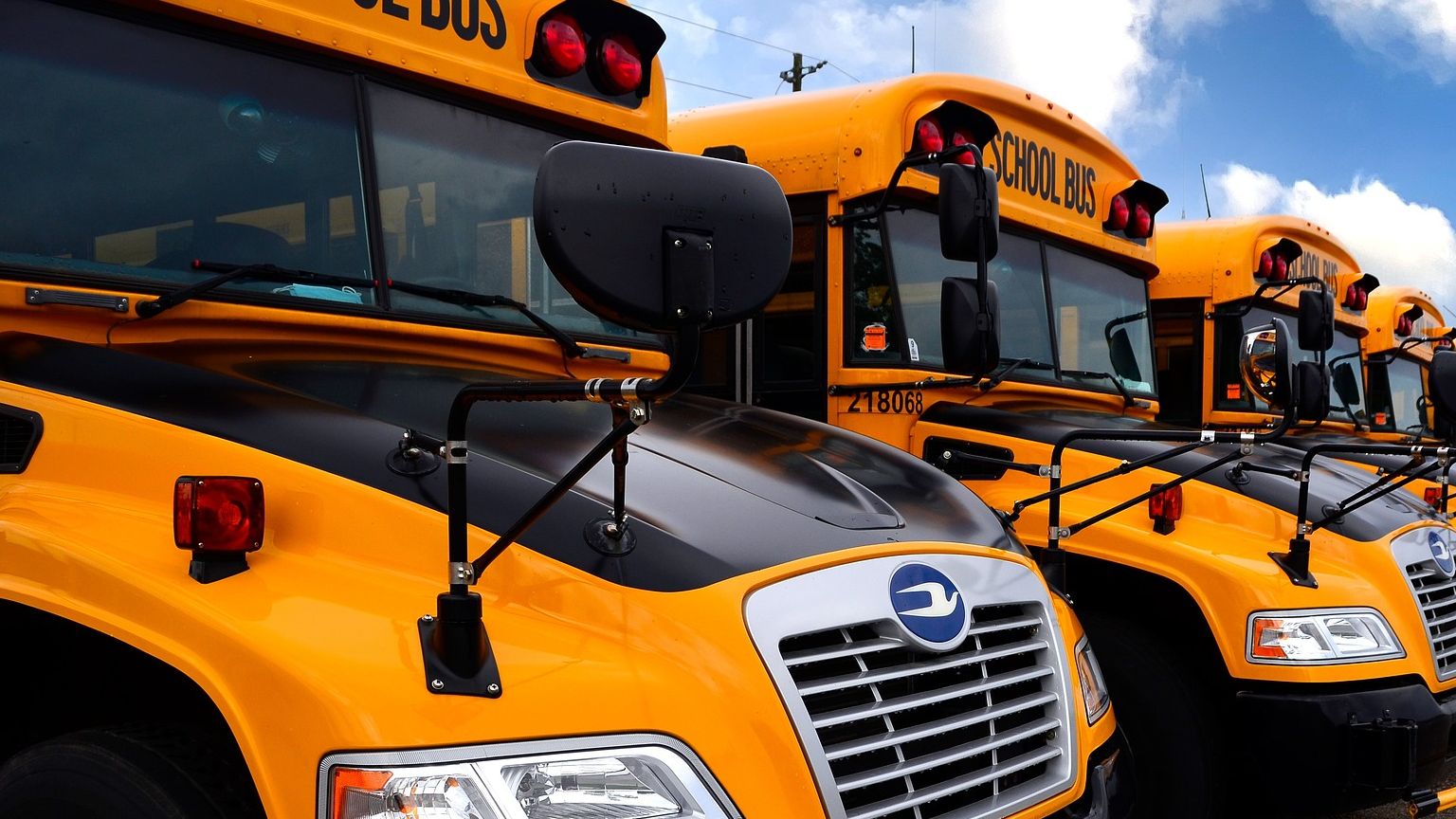 Bus